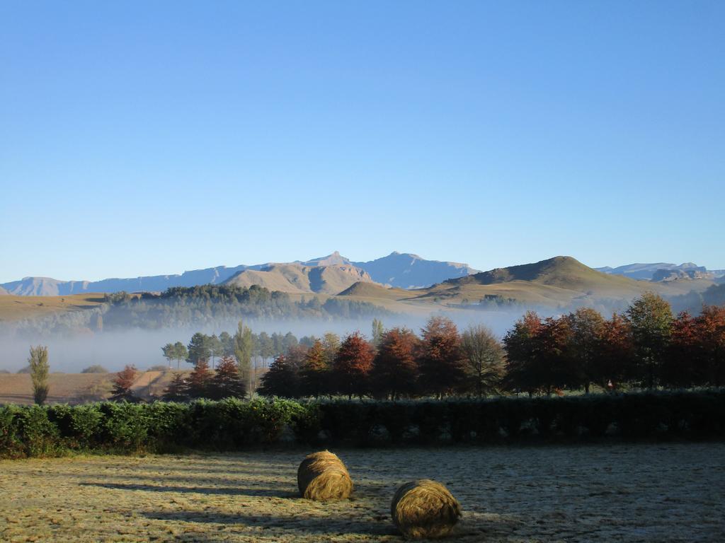 Pennygum Country Cottages Underberg Exterior foto