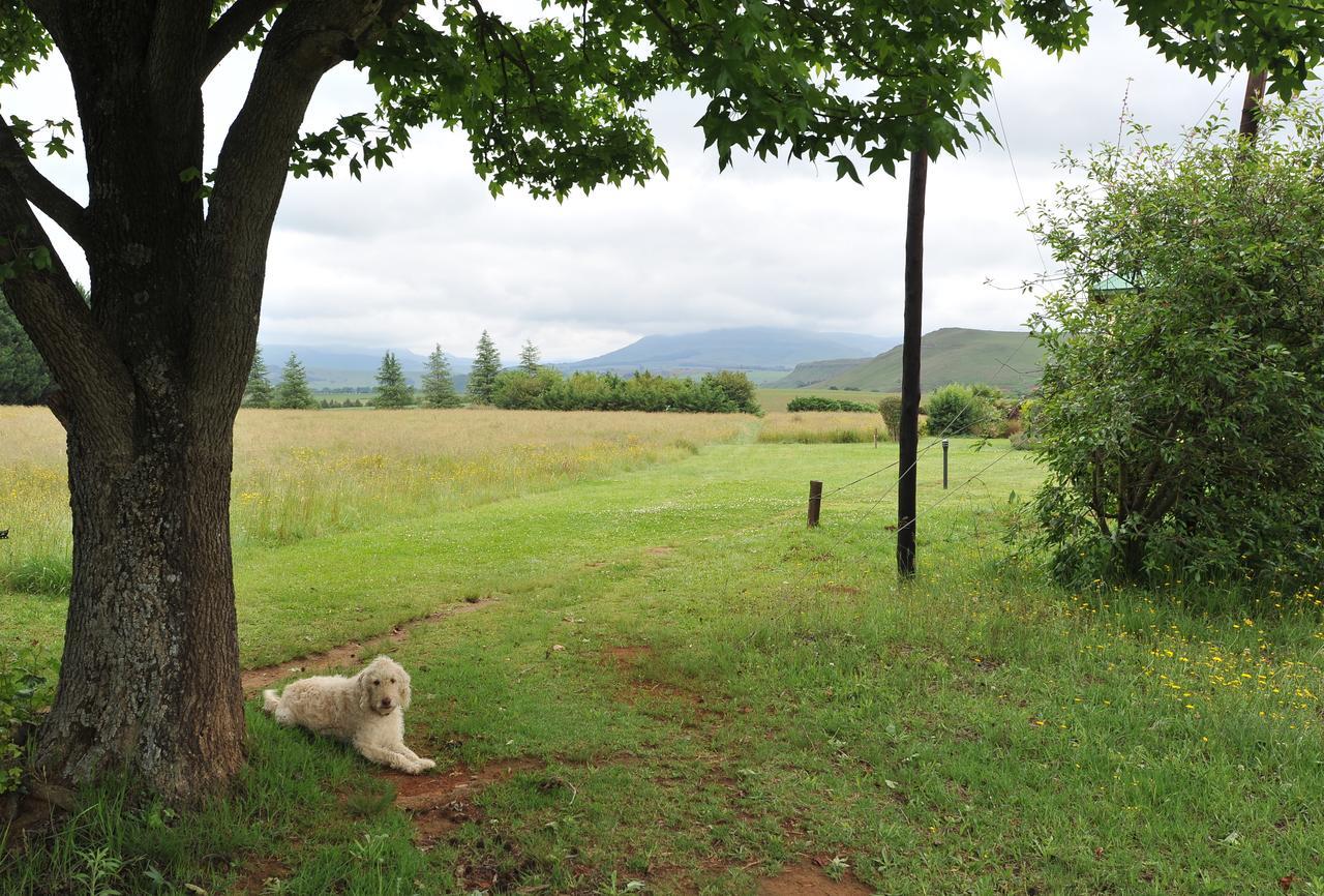 Pennygum Country Cottages Underberg Exterior foto